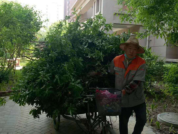 綠化養護